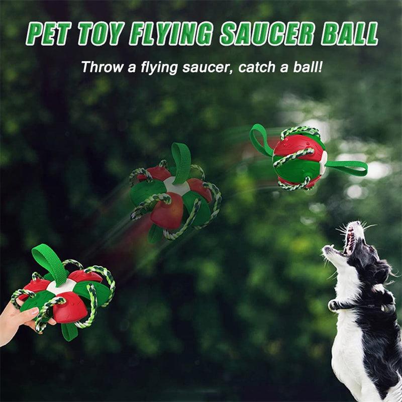 Interactive Dog Football Soccer Ball With Tabs Inflated Training Toy Outdoor Border Collie Balls Pet Products - Nioor