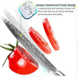 Kitchen Knife Professional Japanese Chef Knives - Nioor