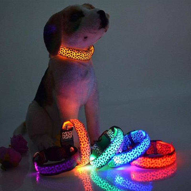 LED Dog Collar Safety Adjustable Nylon Leopard Pet Collar - Nioor