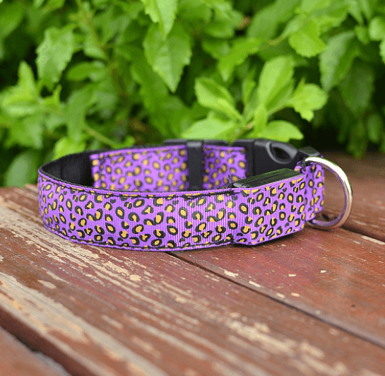 LED Dog Collar Safety Adjustable Nylon Leopard Pet Collar - Nioor