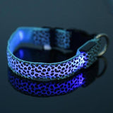 LED Dog Collar Safety Adjustable Nylon Leopard Pet Collar - Nioor