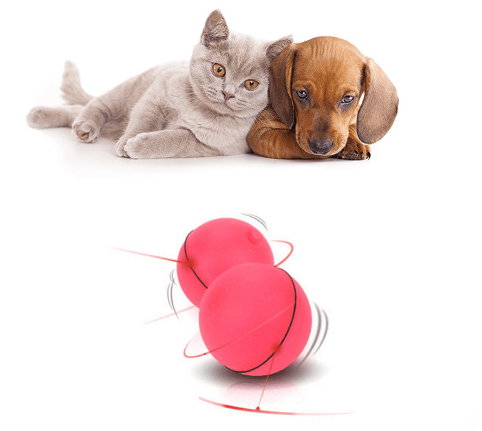 LED Laser Electronic Rolling Pet Funny Cat Toy Ball - Nioor