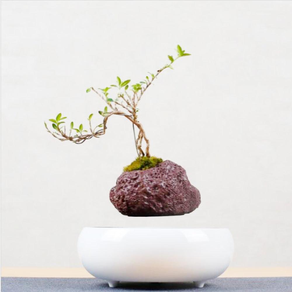 Magnetic Levitation Potted Plants - Nioor