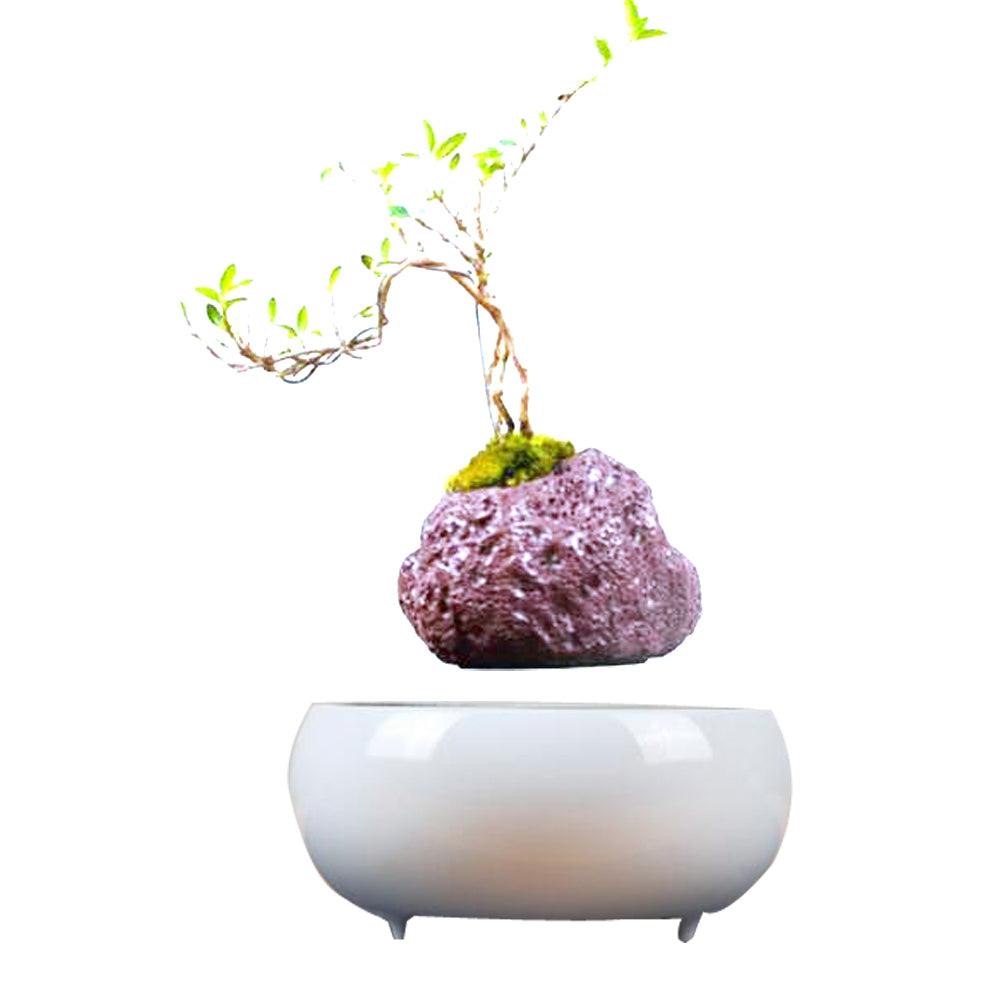 Magnetic Levitation Potted Plants - Nioor