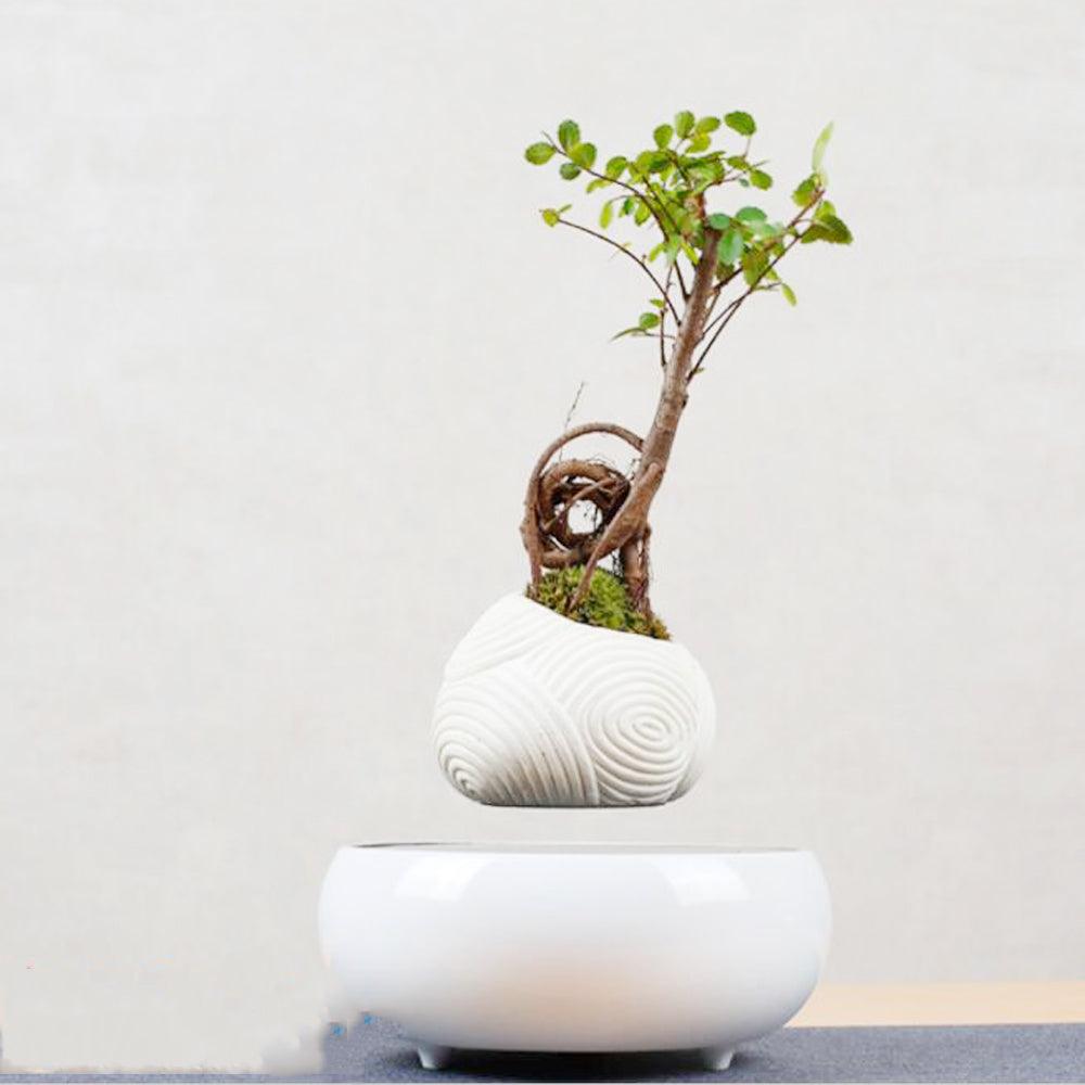 Magnetic Levitation Potted Plants - Nioor