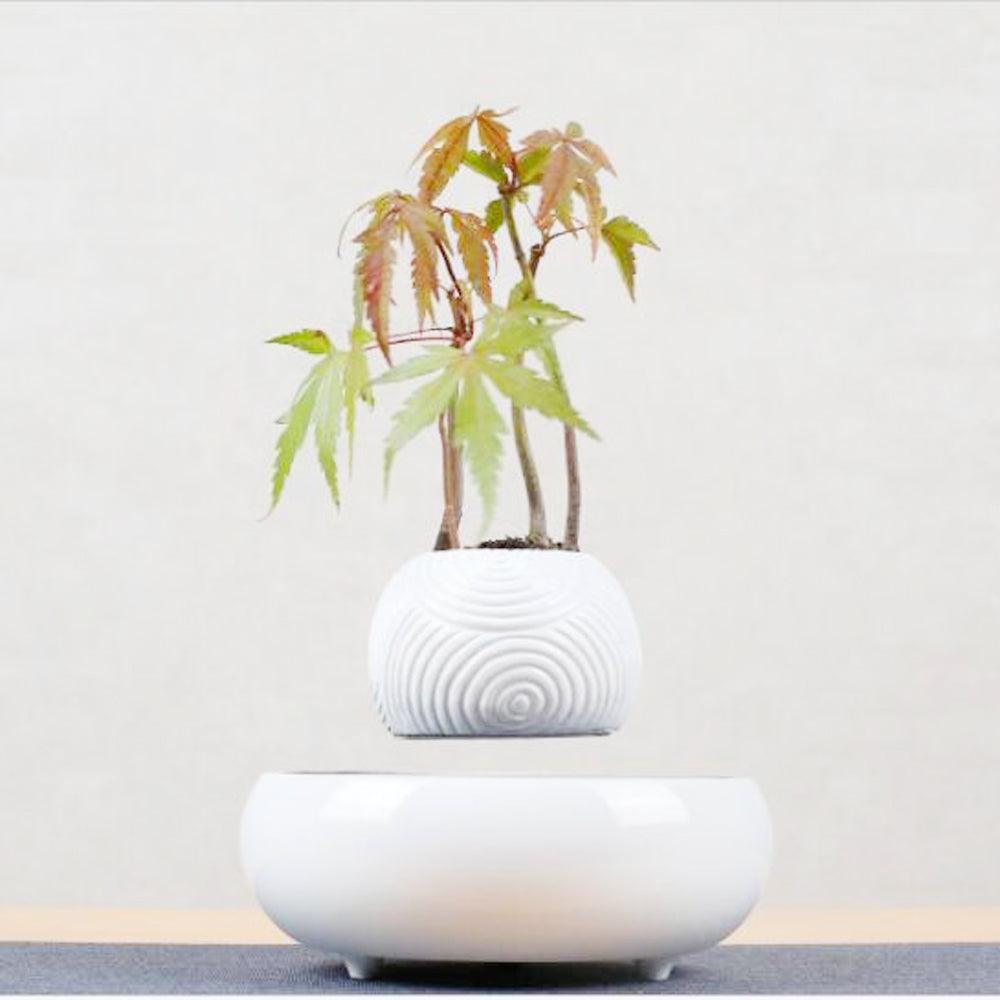 Magnetic Levitation Potted Plants - Nioor