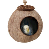 Natural coconut shell bird nest - Nioor