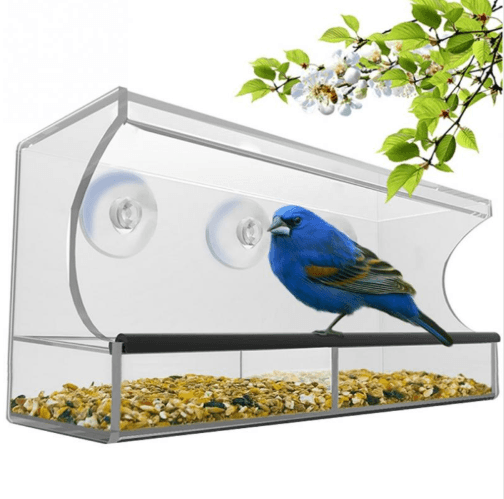 New acrylic feeder - Nioor