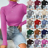 New European And American Women's High Neck Sweater Pullover Knitted Top - Nioor