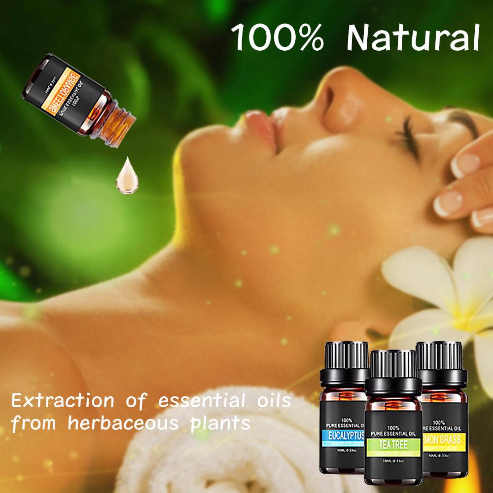 Organic Essential Oils Set Top Sale 100 Natural Therapeutic Grade Aromatherapy Oil Gift kit for Diffuser - Nioor