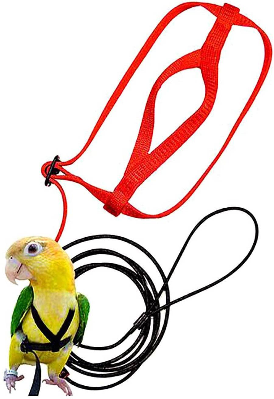 Parrot Flying With Flying Rope And Bird Harness - Nioor