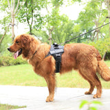 Personalization Of Pet Chest Strap Products - Nioor