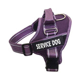 Personalization Of Pet Chest Strap Products - Nioor