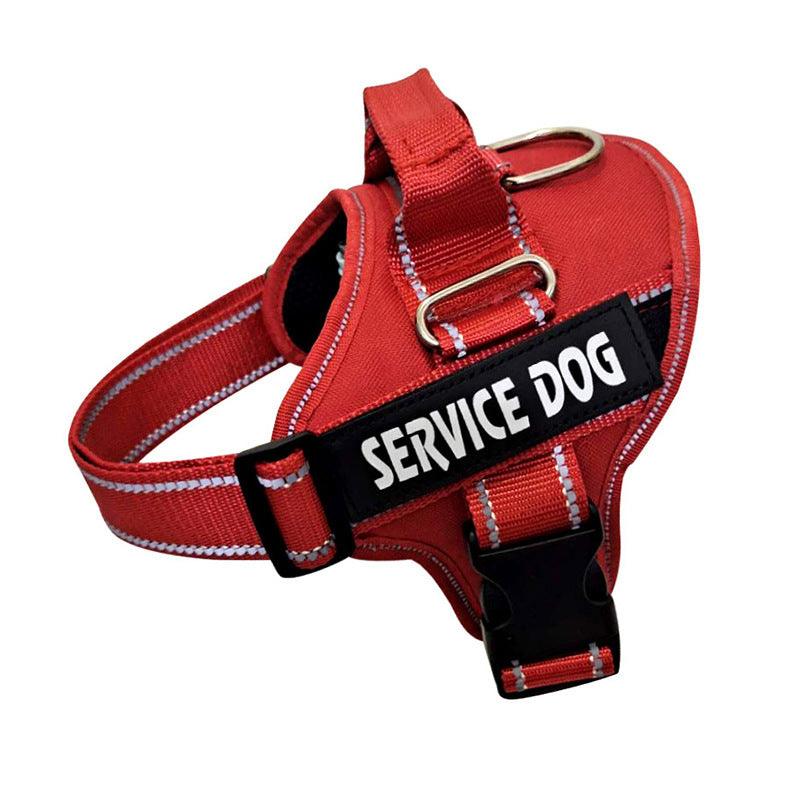 Personalization Of Pet Chest Strap Products - Nioor