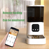 Pet Automatic Feeder Large Capacity Smart Voice Recorder APP Control Timer Feeding Cat Dog Food Dispenser With WiFi Pet Bowl - Nioor