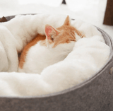 pet bed - Nioor