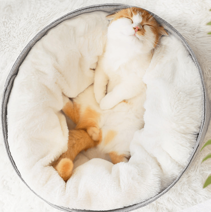 pet bed - Nioor