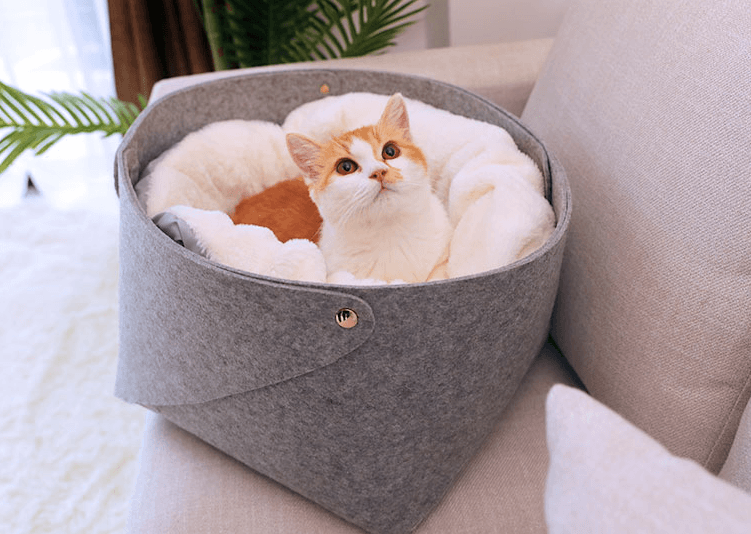 pet bed - Nioor