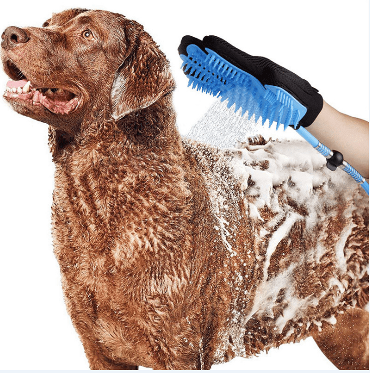 Pet Dog Shower Head Handheld Cat Bathing Shower Tool - Nioor