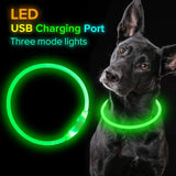 Pet Flashing Collar USB Rechargeable Glowing Necklace Safety Collar Light Up Collars For Night Walking Electric Dog Collar Neon - Nioor