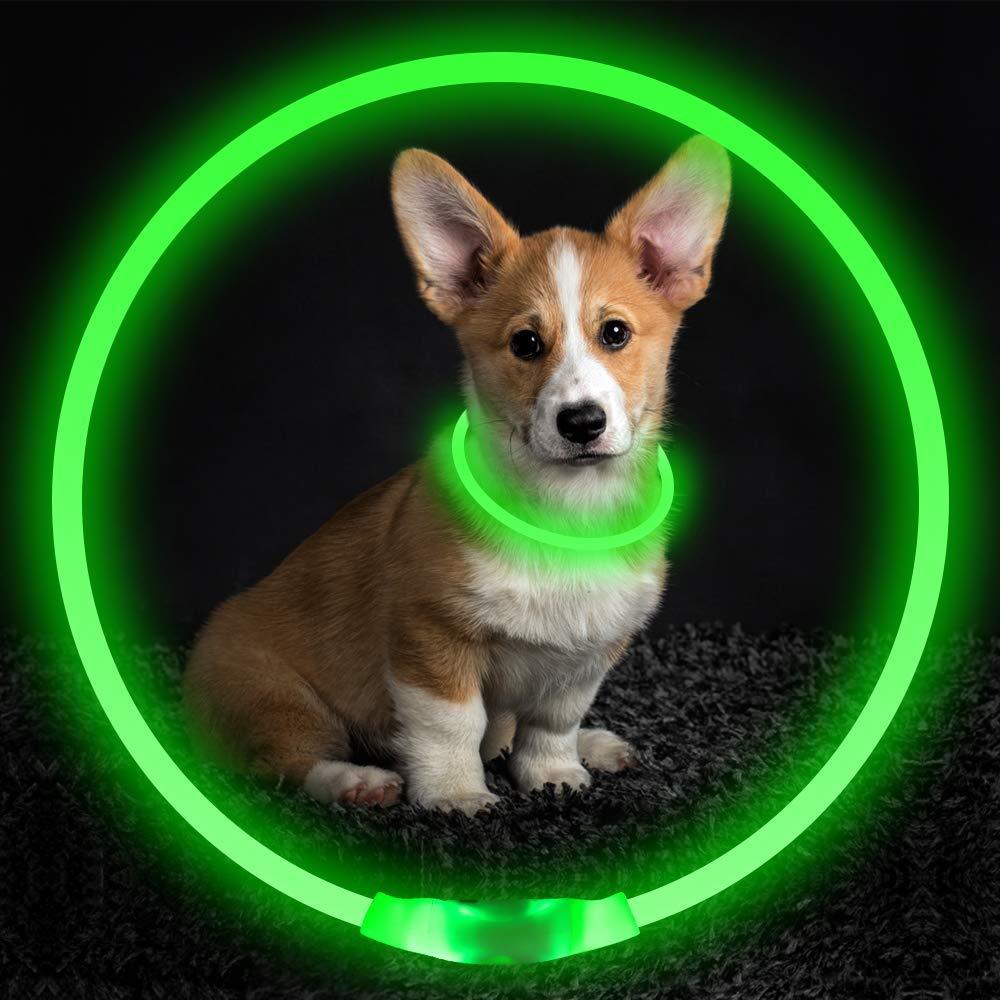 Pet Flashing Collar USB Rechargeable Glowing Necklace Safety Collar Light Up Collars For Night Walking Electric Dog Collar Neon - Nioor