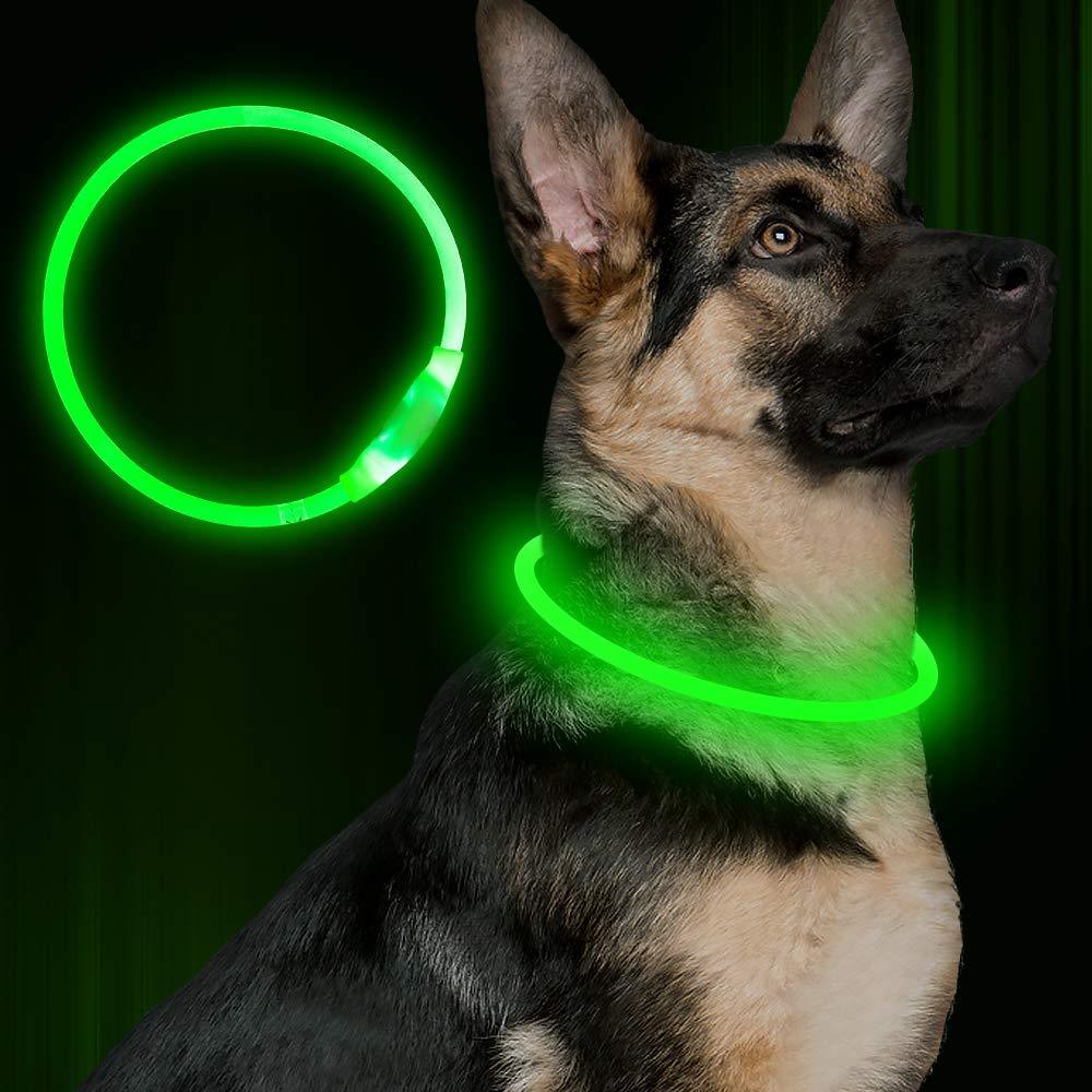 Pet Flashing Collar USB Rechargeable Glowing Necklace Safety Collar Light Up Collars For Night Walking Electric Dog Collar Neon - Nioor