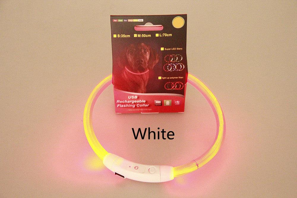 Pet Flashing Collar USB Rechargeable Glowing Necklace Safety Collar Light Up Collars For Night Walking Electric Dog Collar Neon - Nioor