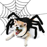 Pet Halloween Funny Spider Chest Back Creative Cat Dog Small Dog Transformation Costume For Dogs Cats Party Cosplay Funny Outfit - Nioor