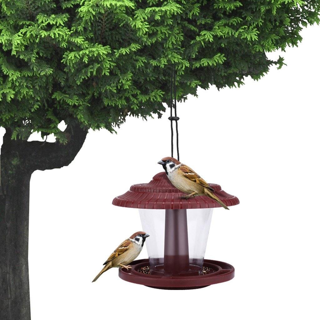 Plastic transparent bird feeder - Nioor