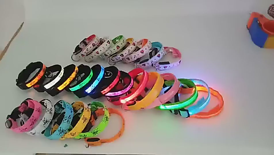 Fluorescent dog collar