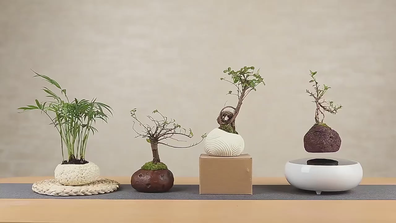 Magnetic Levitation Potted Plants