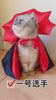 Halloween Pet Costumepet Halloween Cape Vampire King