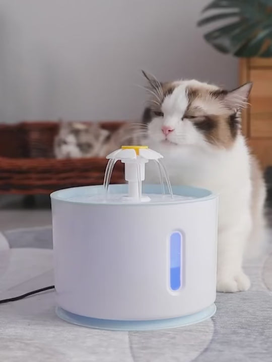 Automatic Pet Cat Water Fountain With LED Lighting USB Dogs Cats Mute Drinker Feeder Bowl Drinking Dispenser