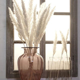 Reed dried flower home decoration - Nioor