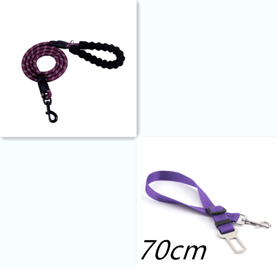 Reflective Dog Leash Nylon Pet Dog Leash Rope For Small Medium Large Dogs Walking Training Pet Suppiles - Nioor