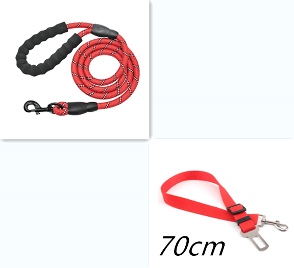 Reflective Dog Leash Nylon Pet Dog Leash Rope For Small Medium Large Dogs Walking Training Pet Suppiles - Nioor