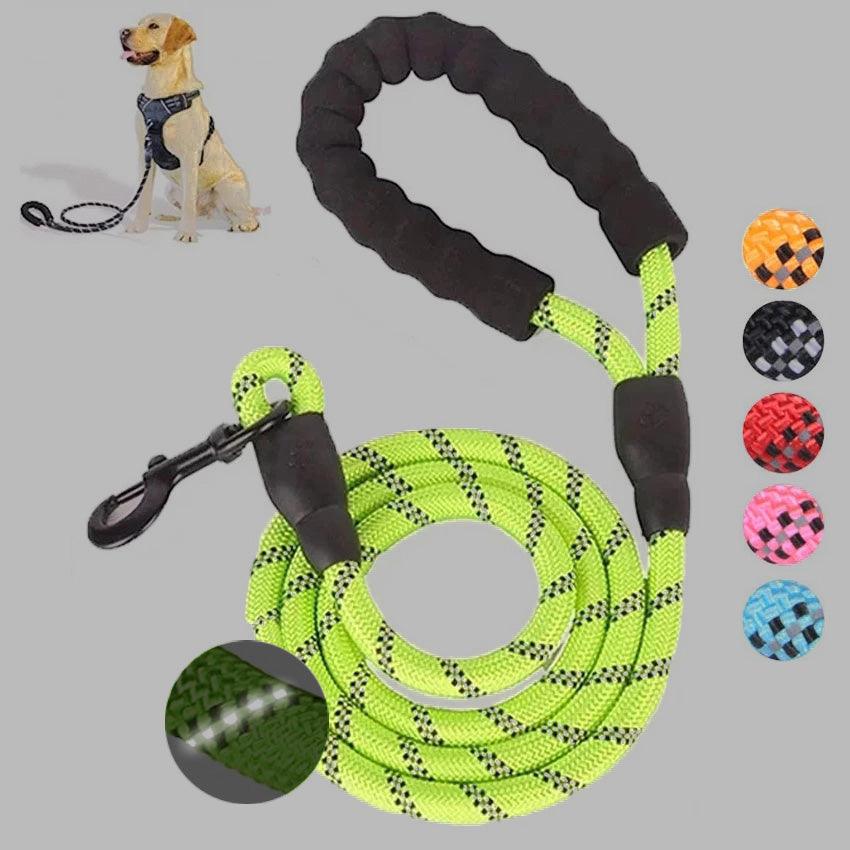 Small Medium Sized Pet Dog Luminous Leash Chain Puppies - Nioor