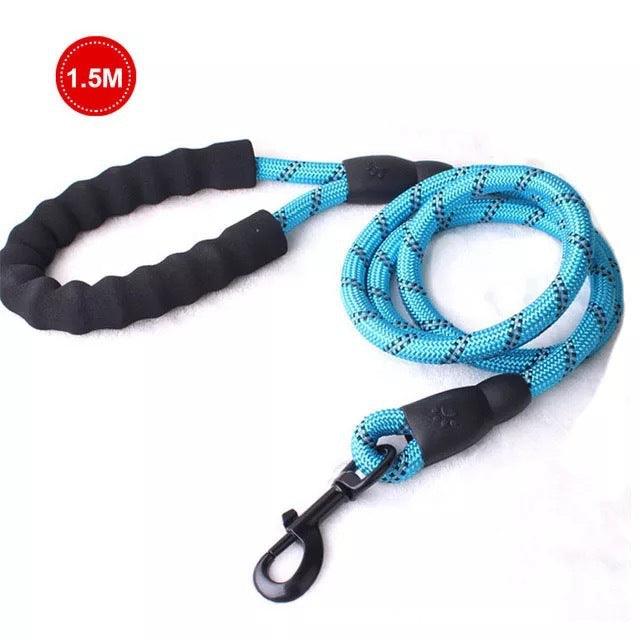 Small Medium Sized Pet Dog Luminous Leash Chain Puppies - Nioor