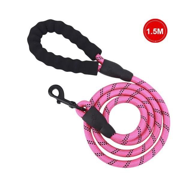 Small Medium Sized Pet Dog Luminous Leash Chain Puppies - Nioor