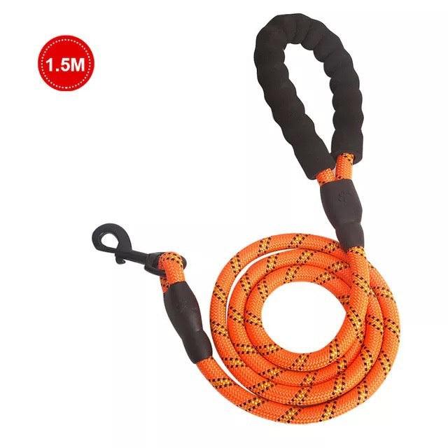 Small Medium Sized Pet Dog Luminous Leash Chain Puppies - Nioor