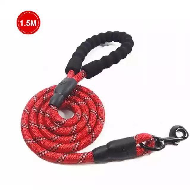 Small Medium Sized Pet Dog Luminous Leash Chain Puppies - Nioor