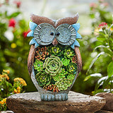 Solar Owl Led Light Outdoor Decorative Light Courtyard Decoration Resin Crafts Courtyard Lawn Night View Gift Lighting Decoration - Nioor