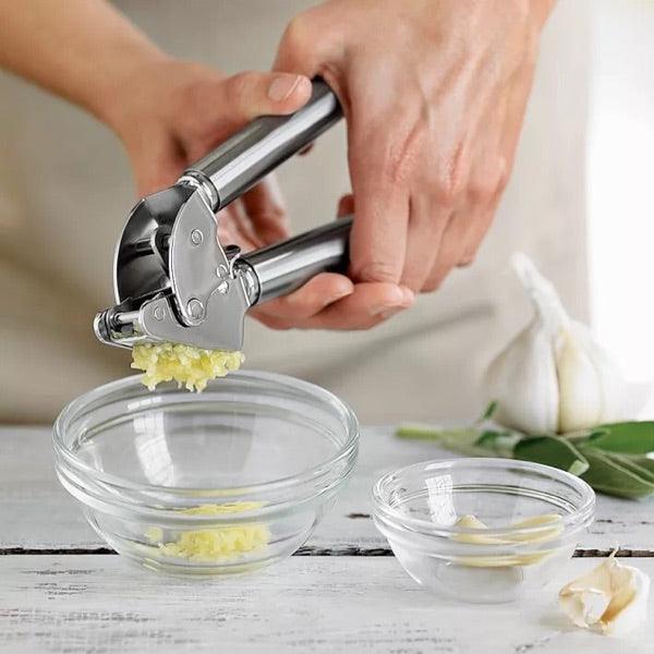 Stainless Steel Garlic Press - Nioor