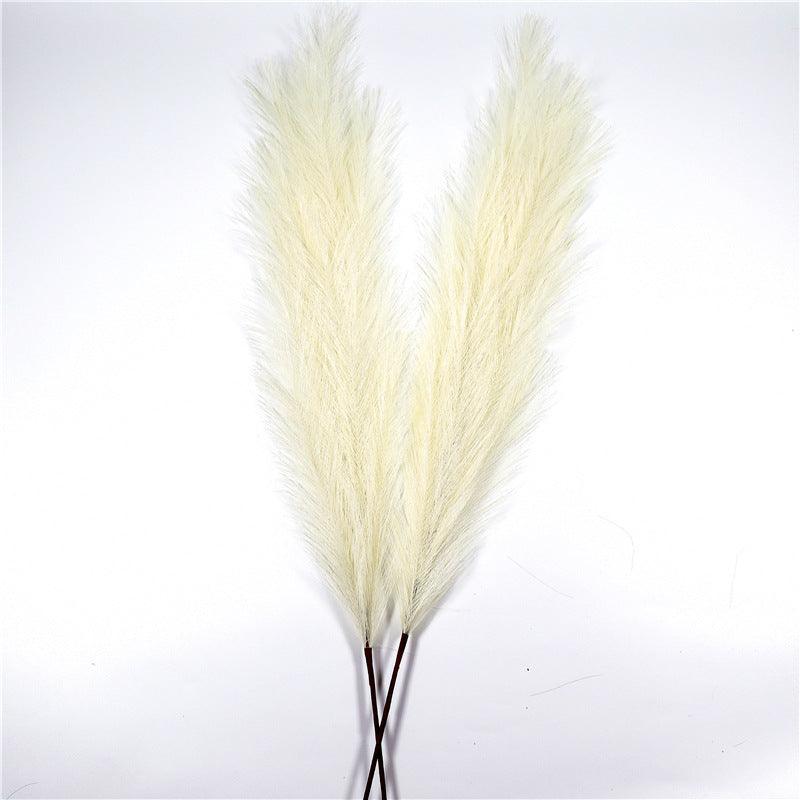 Window Decoration Long 110 Cm Pampas Natural Simulation Reed Grass Pampas - Nioor