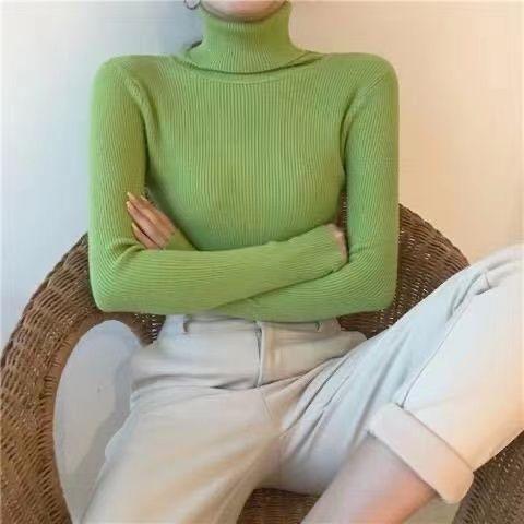 Women's Autumn Top Knitted Bottoming Shirt Turtleneck Sweater - Nioor