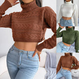 Women's Casual Fried Dough Twist Long Sleeve High Neck Knitting Sweater - Nioor