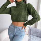 Women's Casual Fried Dough Twist Long Sleeve High Neck Knitting Sweater - Nioor