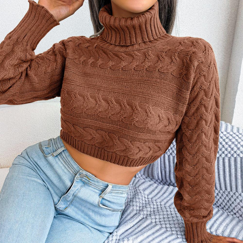 Women's Casual Fried Dough Twist Long Sleeve High Neck Knitting Sweater - Nioor